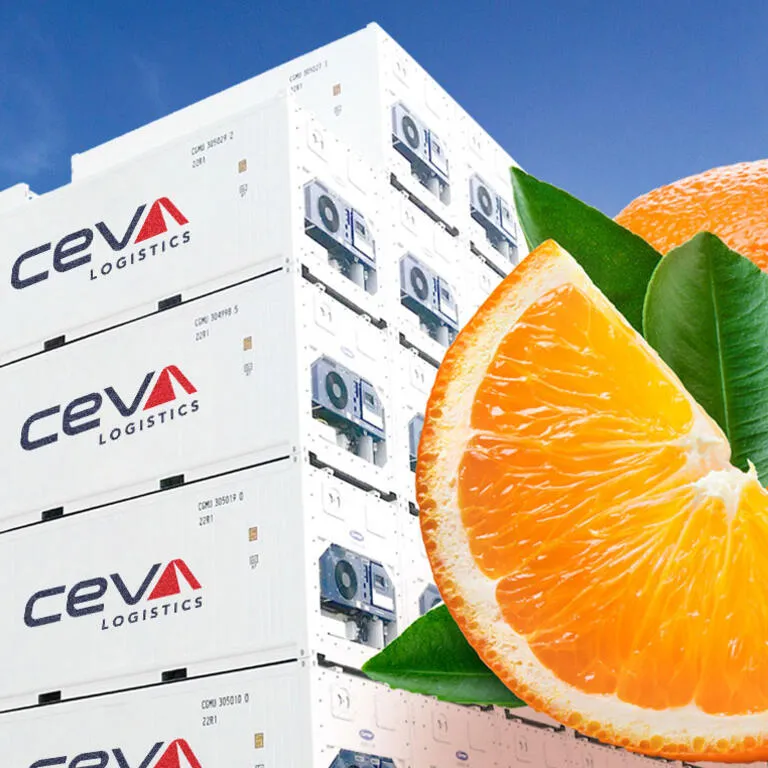 ceva-reefer-cargo