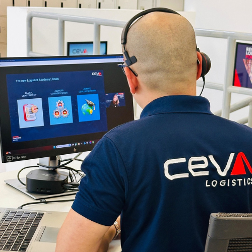 ceva-employee-it-team-